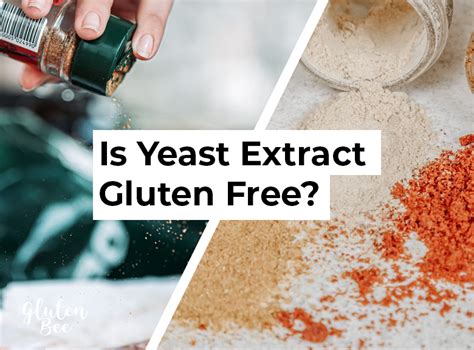 does yeast extract contain gluten.